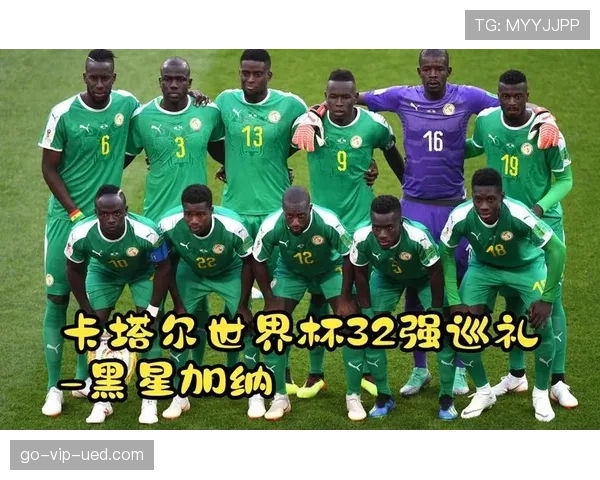 加纳世界杯L组全方位深度解析 加纳世界杯L组全方位深度解析
