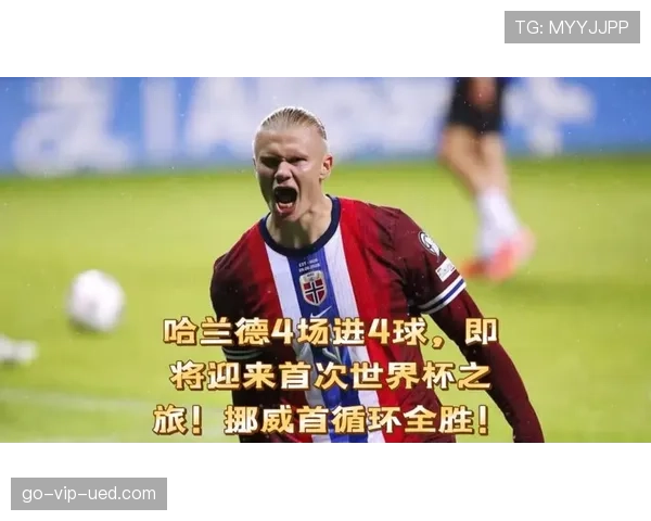 挪威世界杯球迷关注焦点 挪威世界杯球迷关注焦点